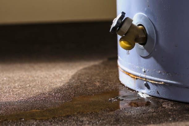 Best Water damage cleanup near me  in Tallahassee, FL