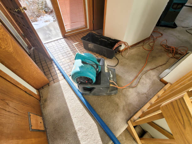 Best Water damage restoration near me  in Tallahassee, FL