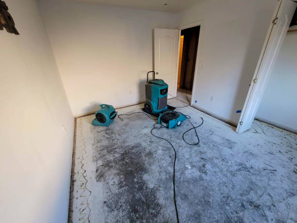 Best Flooded house restoration  in Tallahassee, FL