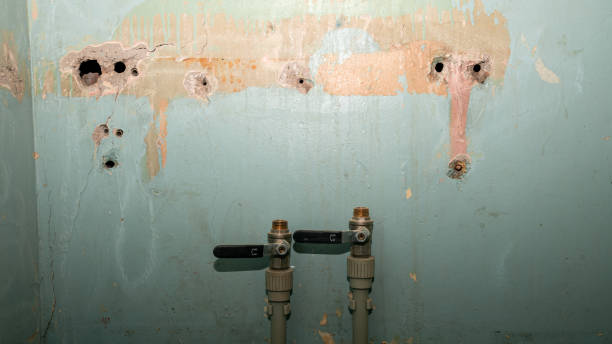 Best Flood damage cleanup  in Tallahassee, FL