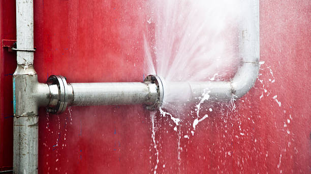 Best Local water damage restoration  in Tallahassee, FL